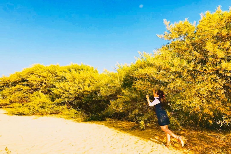 Ảnh slide minh họa 3